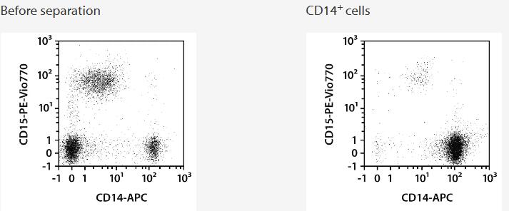 Separation of a Leukopak sample using the StraightFrom Leukopak CD14 MicroBead Kit and the MultiMACS Cell24 Separator Plus with the Multi-24 Column Block. Cells were fluorescently stained with CD14-APC, CD15-PE-Vio 770, as well as CD45-VioBlue and analyzed by flow cytometry using the MACSQuant Analyzer. Cell debris and dead cells were excluded from the analysis based on scatter signals and propidium iodide fluorescence.